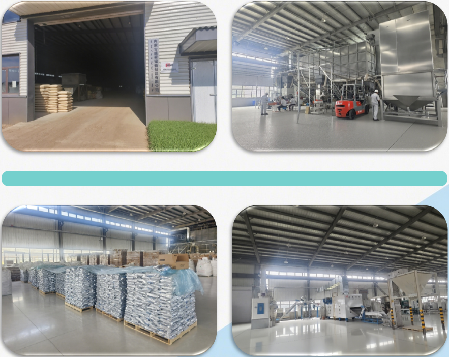 微信图片_2025-12-01_094334_790 微信图片_2025-12-01_094334_790