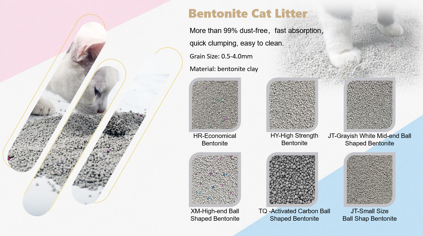 微信图片_2025-12-01_102657_355