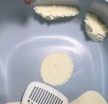 微信图片_2025-12-11_185407_165