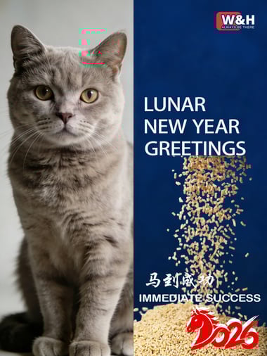 高端猫砂品牌春节贺卡设计 (2)